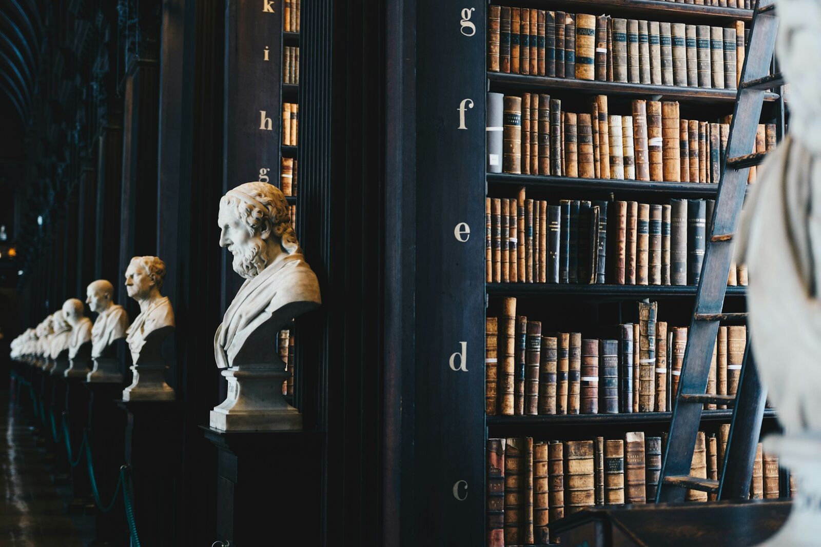 Bibliothèque de droit